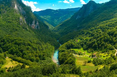 Eine Schlucht in Montenegro, durch die ein Fluss fließt.